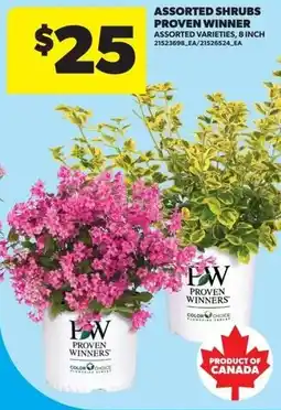Real Canadian Superstore Assorted shrubs proven winner offer