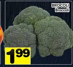 Supermarché PA BROCOLI | Broccoli offer