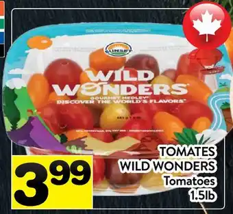 Supermarché PA TOMATES WILD WONDERS | TOMATOES offer