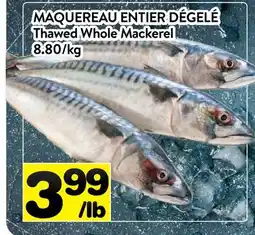 Supermarché PA MAQUEREAU ENTIER DÉGELÉ | THAWED WHOLE MACKEREL offer
