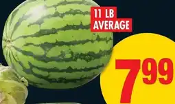 No Frills Whole seedless watermelon offer