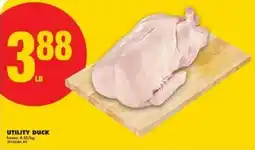 No Frills UTILITY DUCK offer