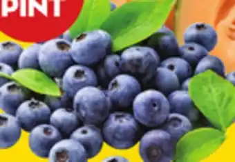 Giant Tiger 1 pint blueberries offer
