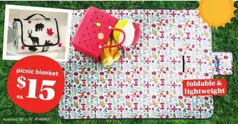 Giant Tiger Picnic Blanket offer