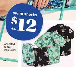 Giant Tiger swim shorts offer