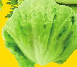 Giant Tiger Iceberg lettuce offer
