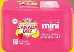 Giant Tiger CANADA DRY offer