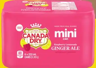 Giant Tiger CANADA DRY offer