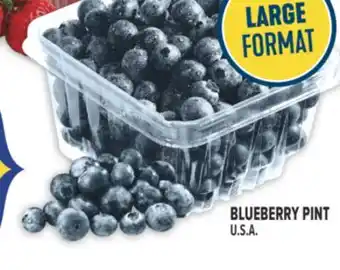 Marché Adonis BLUEBERRY PINT offer