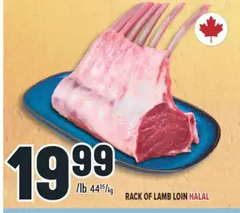 Marché Adonis RACK OF LAMB LOIN HALAL offer