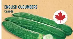 Marché Adonis ENGLISH CUCUMBERS offer
