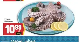 Marché Adonis OCTOPUS offer