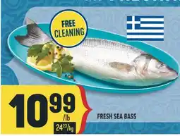 Marché Adonis FRESH SEA BASS offer
