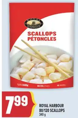 Marché Adonis ROYAL HARBOUR 80/120 SCALLOPS offer