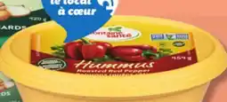 IGA FONTAINE SANTÉ HUMMUS offer