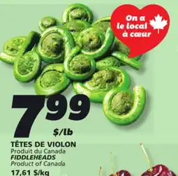 IGA FIDDLEHEADS offer