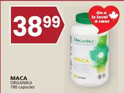 IGA MACA ORGANIKA offer
