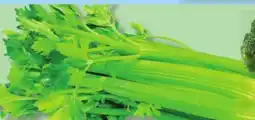 IGA CELERY offer