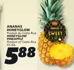 IGA HONEYGLOW PINEAPPLE offer