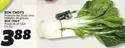IGA FERMES TRUDEAU BOK CHOY offer