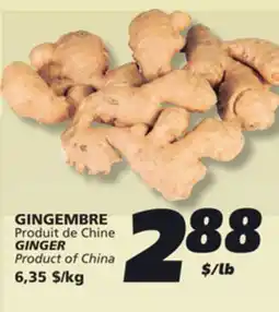 IGA GINGER offer