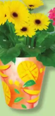 IGA MANGO FLOWER POT offer
