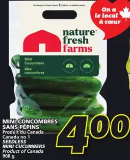 IGA SEEDLESS MINI CUCUMBERS offer