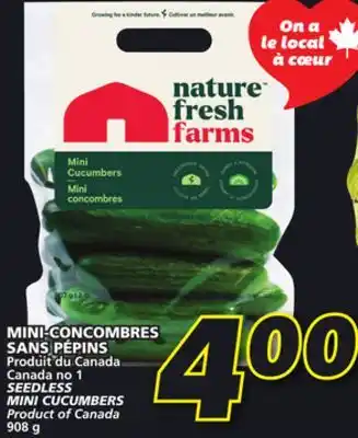IGA SEEDLESS MINI CUCUMBERS offer