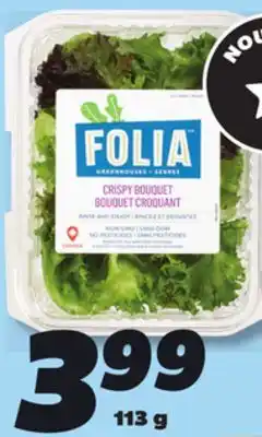 IGA FOLIA GREENHOUSE LETTUCE offer