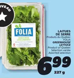 IGA FOLIA GREENHOUSE LETTUCE offer