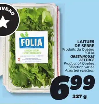 IGA FOLIA GREENHOUSE LETTUCE offer