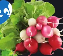 IGA RED OR MULTICOLOURED LEAF RADISHES offer
