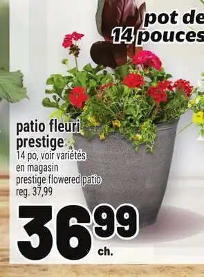 Metro PATIO FLEURI PRESTIGE | PRESTIGE FLOWERED PATIO offer