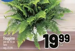 Metro FOUGÈRE | FERN offer