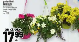 Metro PANIER FLEURI SUSPENDU | COLORED HANGING FLOWER BASKET offer