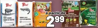 Metro FLORAL PREMIUM offer