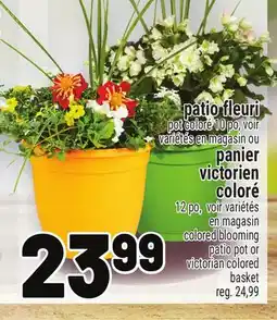Metro PATIO FLEURI offer