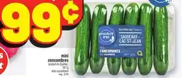 Metro MINI CONCOMBRES | MINI CUCUMBERS offer