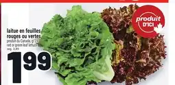 Metro LAITUE EN FEUILLES ROUGES OU VERTES | RED OR GREEN LEAF LETTUCE offer