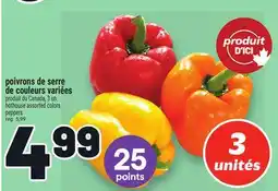 Metro POIVRONS DE SERRE DE COULEURS VARIÉES | HOTHOUSE ASSORTED COLORS PEPPERS offer