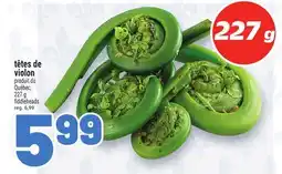 Metro TÊTES DE VIOLON | FIDDLEHEADS offer