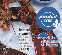 Metro HOMARD VIVANT | LIVE LOBSTER offer
