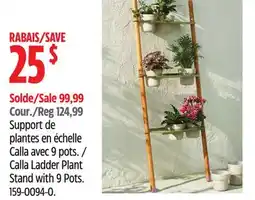 Canadian Tire Calla Ladder Plant Stand with 9 Pots offer