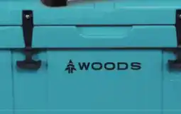 Canadian Tire Arctic Roto-Moulded Series Coolers offer