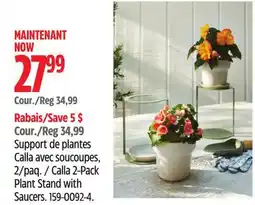Canadian Tire Canvas Calla 2-Pack Plant Stand with Saucers offer