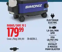 Canadian Tire Simoniz Foam Blaster offer