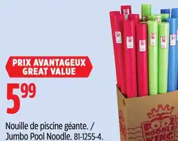 Canadian Tire Jumbo Pool Noodle offer