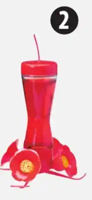 Canadian Tire Perky-Pet Glass Hummingbird Feeder offer
