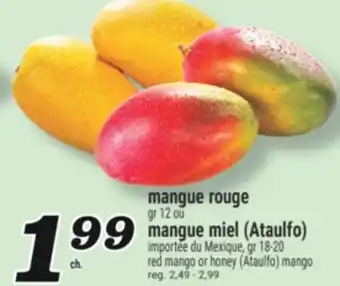 Marché Richelieu MANGUE ROUGE | RED MANGO offer