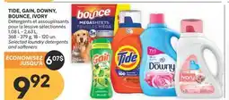 Brunet TIDE, GAIN, DOWNY, BOUNCE, IVORY Détergents et assouplissants pour la lessive sélectionnés offer